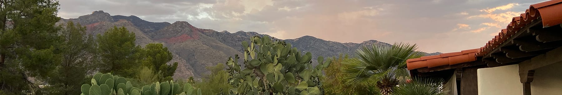 Tucson's Catalina mountains with rooftop and shrubs